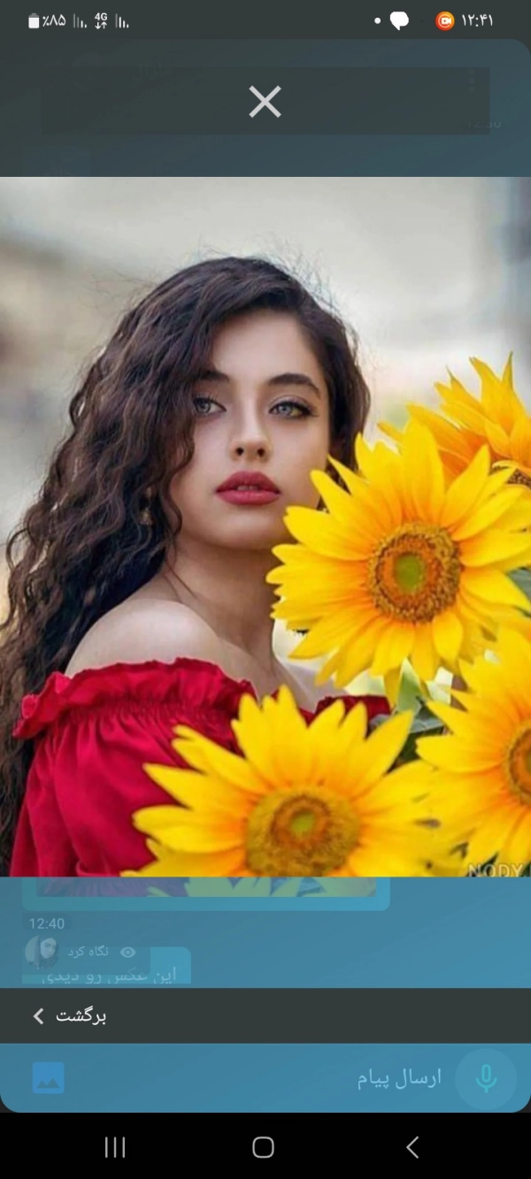نرگس