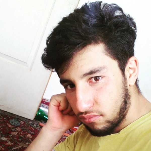 حامد