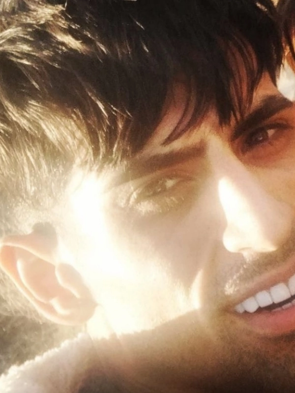 شاهین