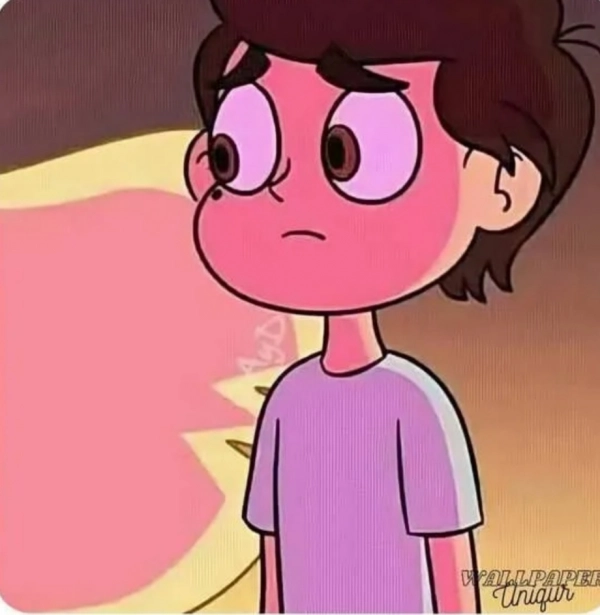 amir