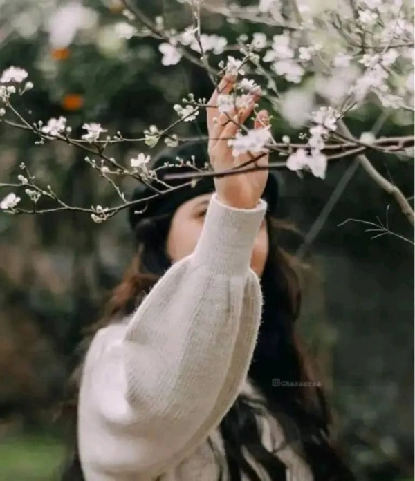 عمری گلبئ @