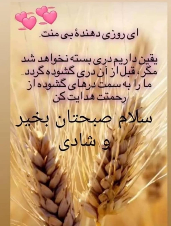 رضا