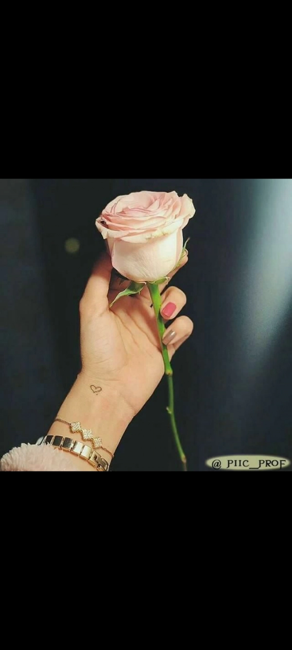 سیاره 6398