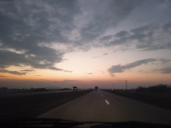 ریحانه