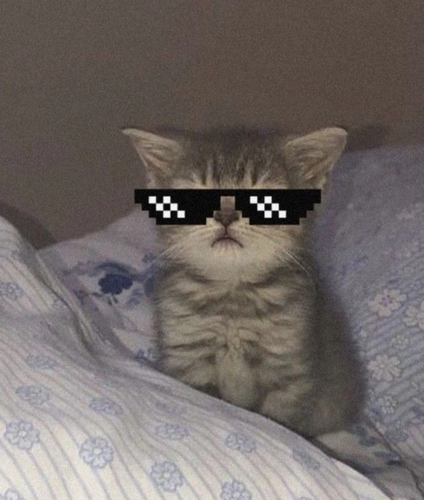 Reza