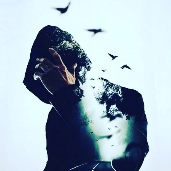 ali.r