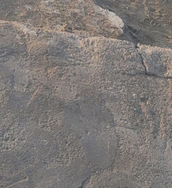 شیراز