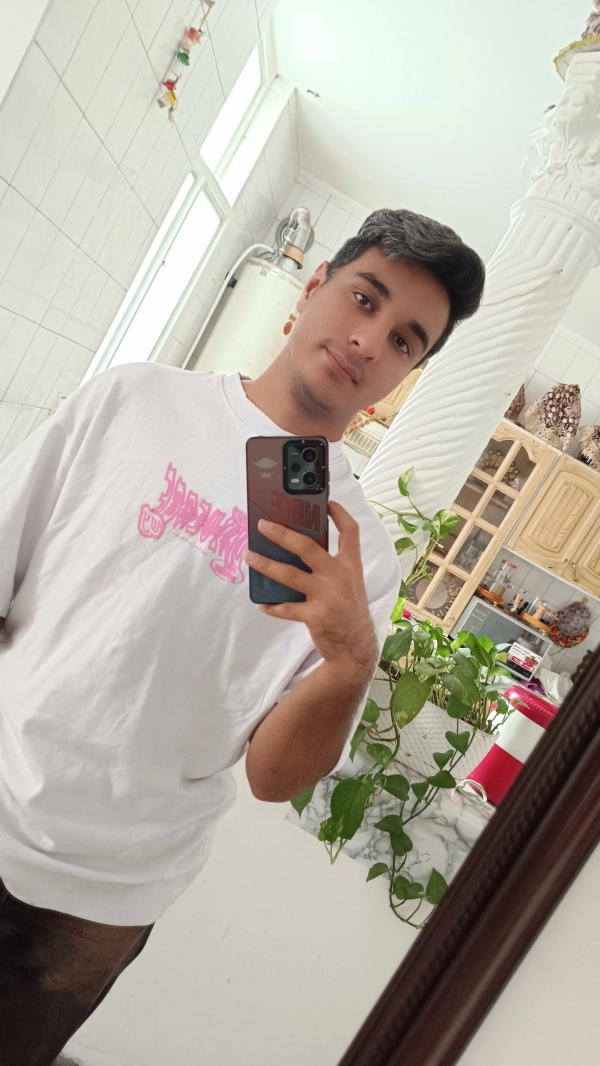 امیر