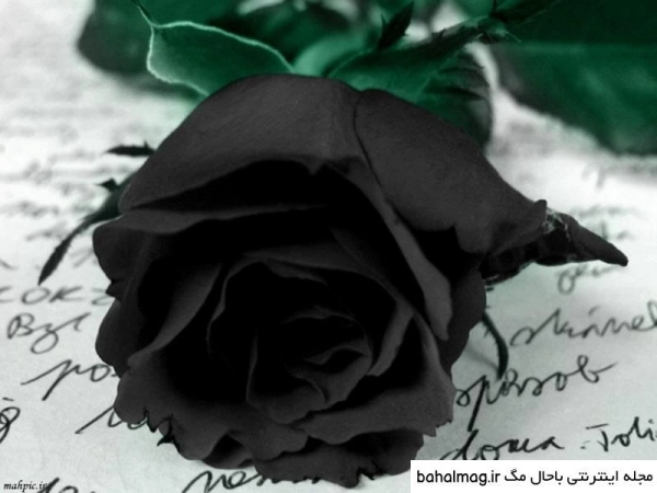 کهکشان راه ک ی ر ی