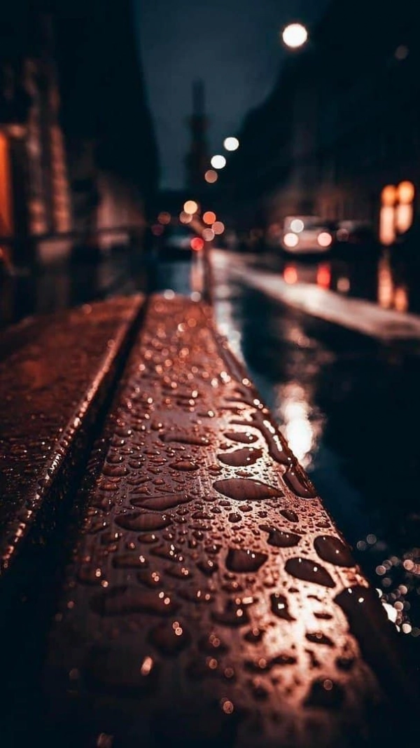 دونیا
