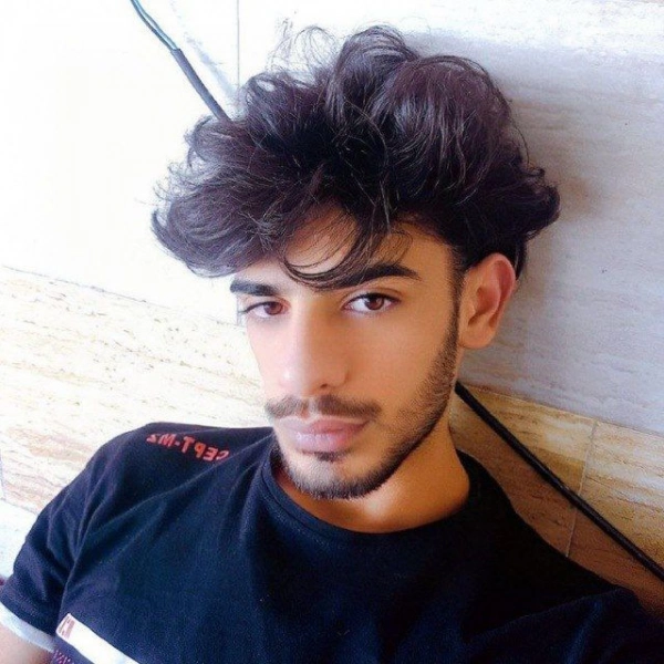 Ahle hal