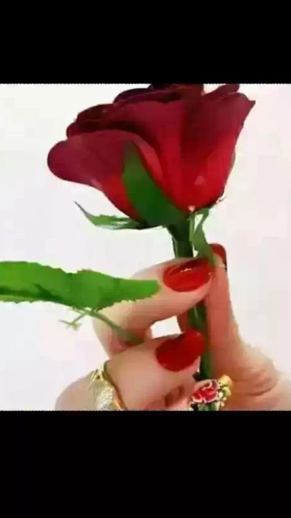 9365686864