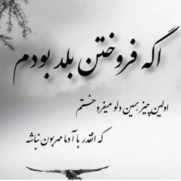 مهدی قشمی