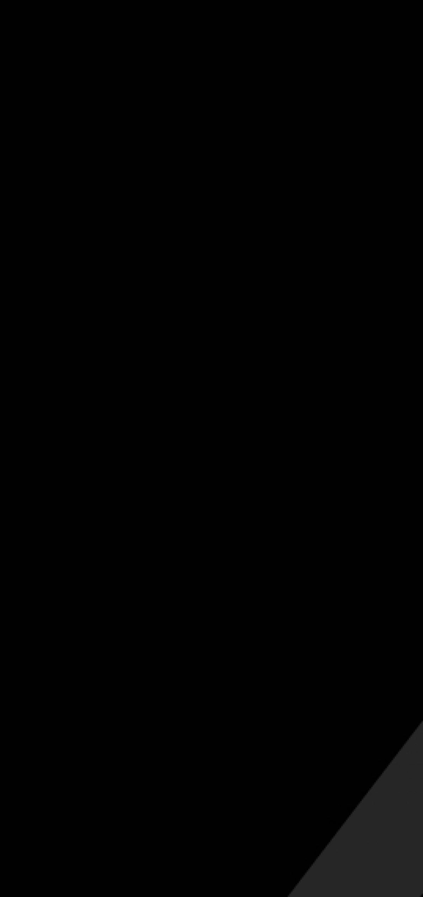 رضا