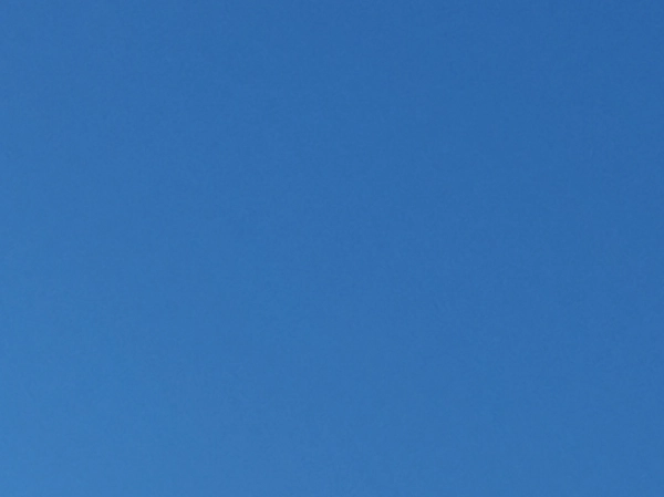 Andromeda