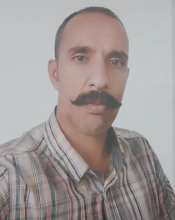محمدیوسفی