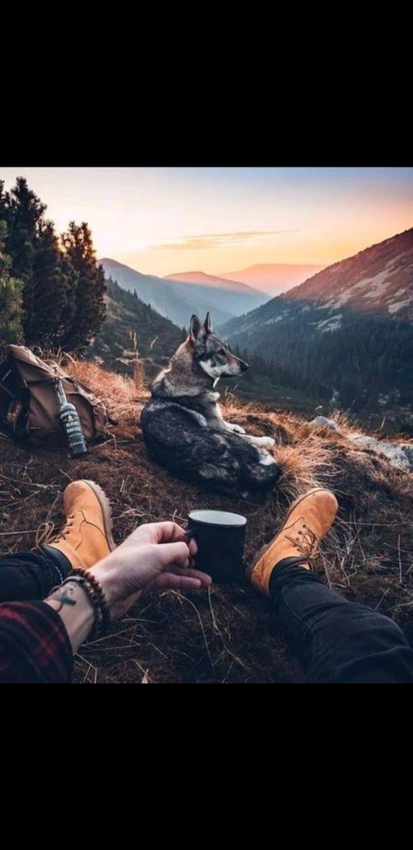 ساسان