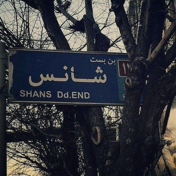 ویدا