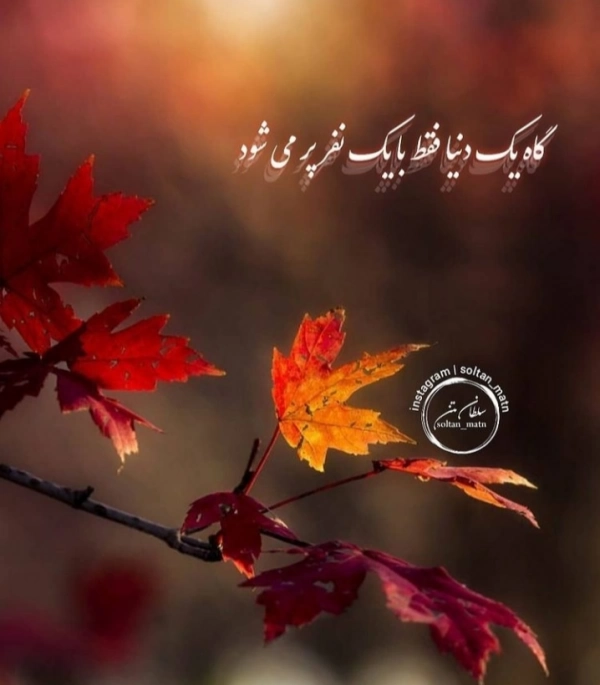 زمین