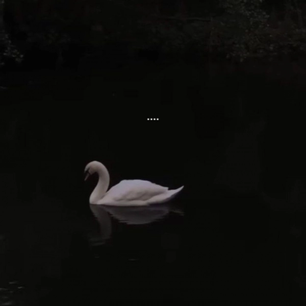 ۱۲۳۸