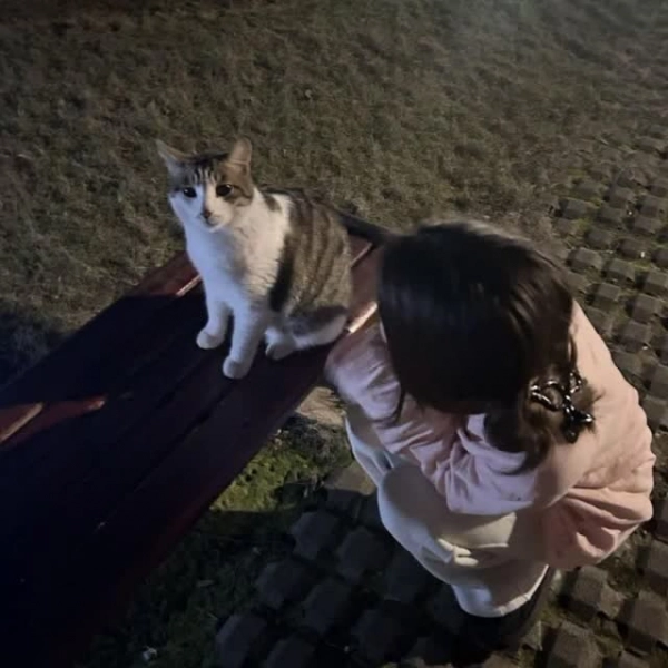 سارا