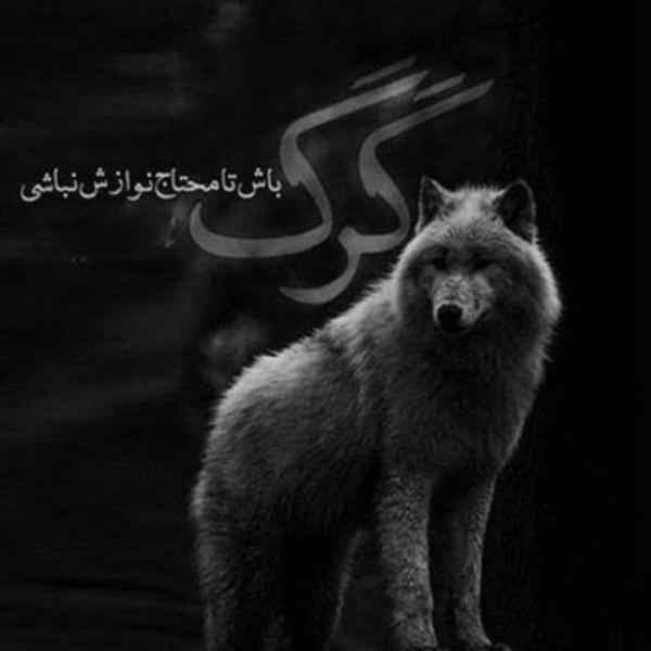 سیاره 5965