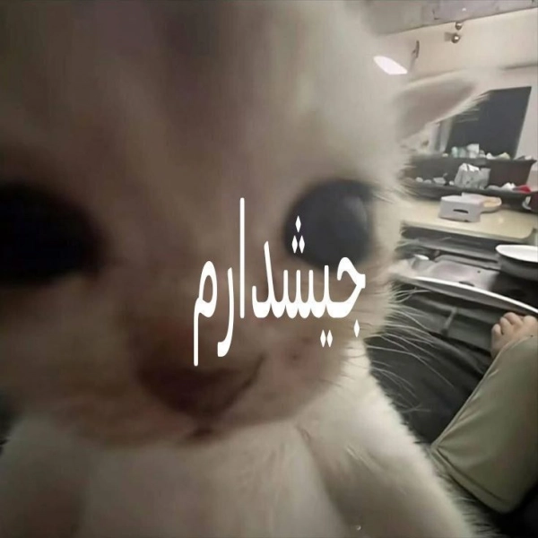 meli