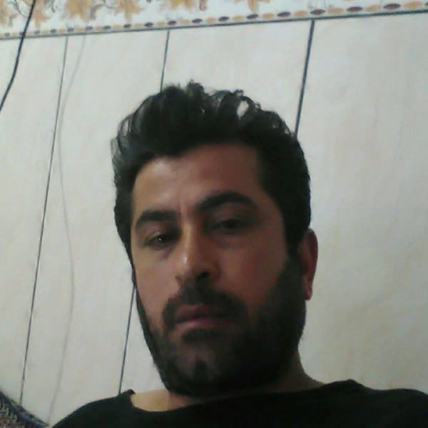 مجید