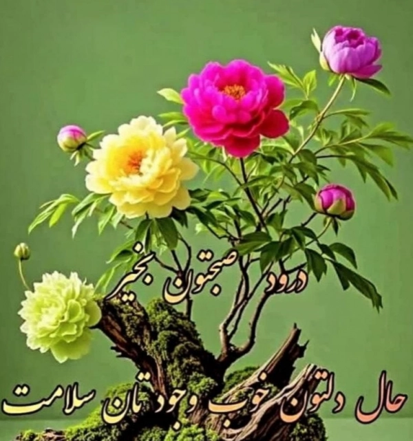 سیاوش