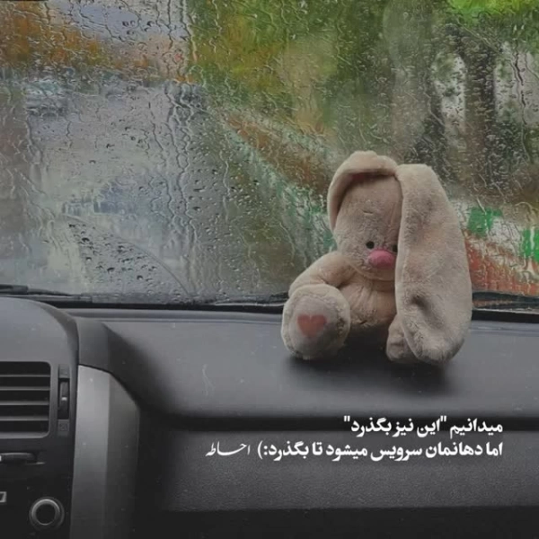 زمین