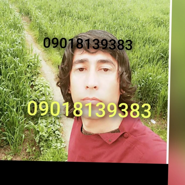 افشین نظری