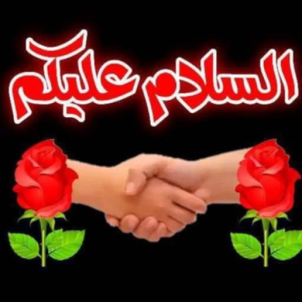سیاره 1855 رضا