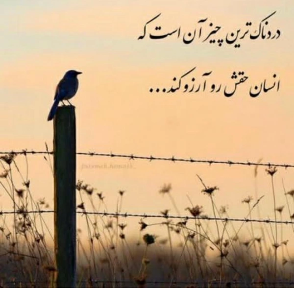 زمین