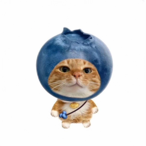 Blobry