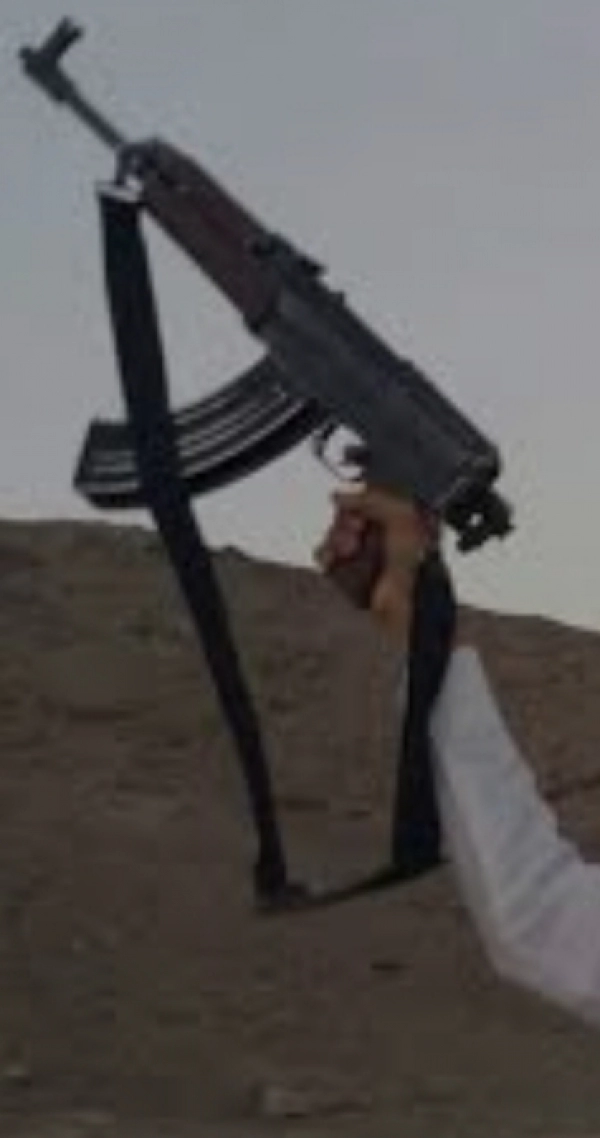 Ali Ali1985