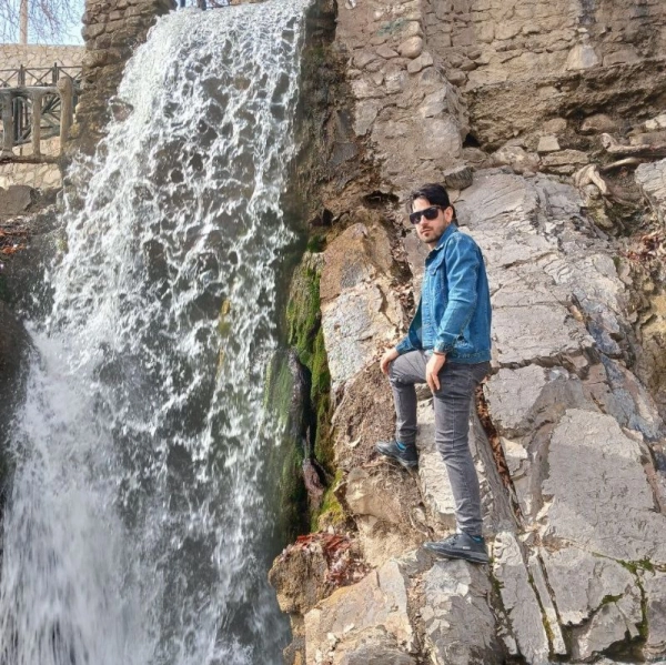 سیاوش بزرگمهر