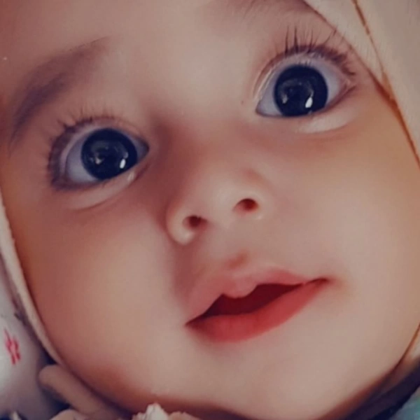 زمین