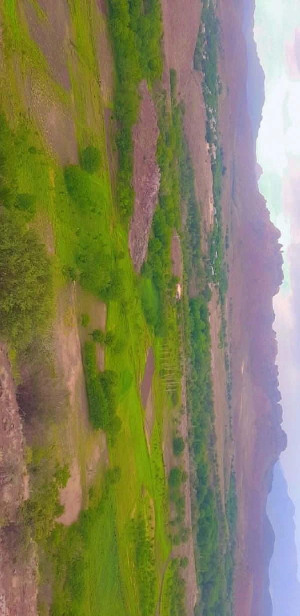 مهسا