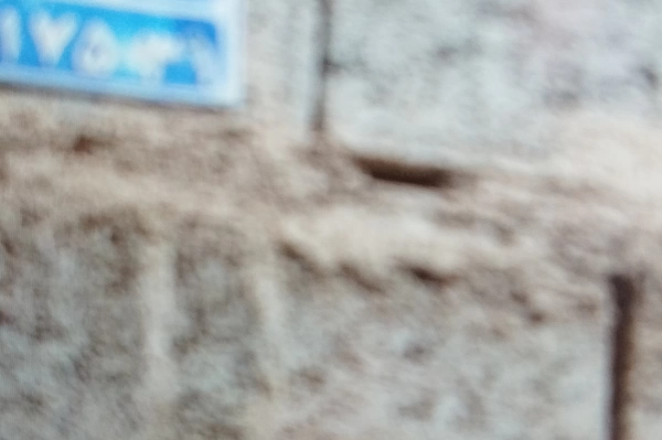 امید