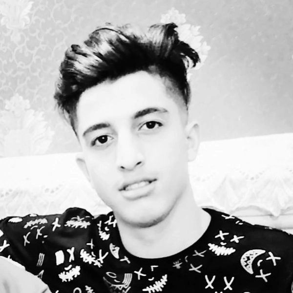 amir