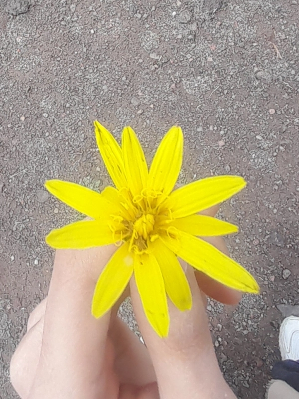 سیاره 5719