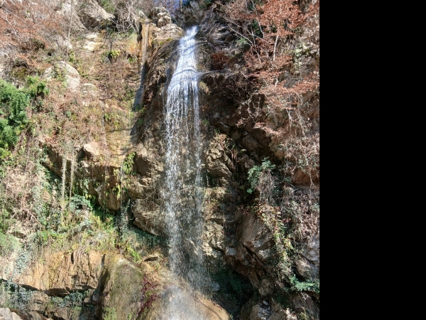سیاره 8717