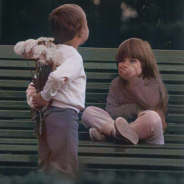 نوید