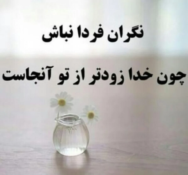 بوشهر