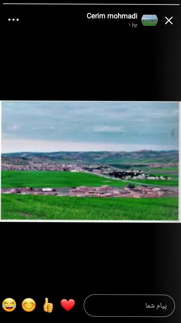 رامین محمدی