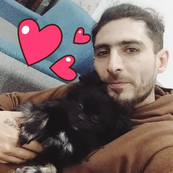 حامد