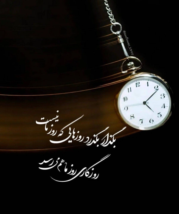 @yp307631