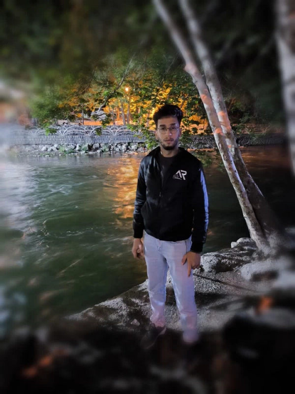 amir heidary