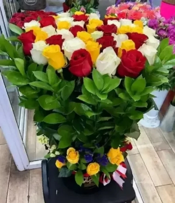 رضا ابراهیمی
