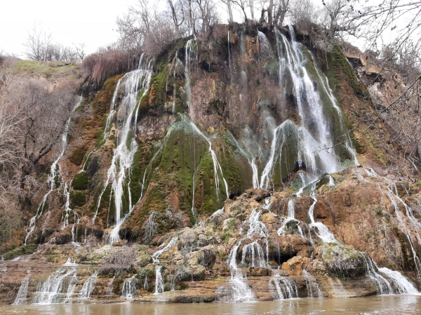 محسن